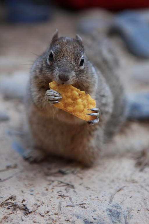 USA - der Westen 2013